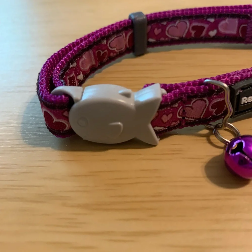 Brand new Purple Heart design cat collar has breakaway tan on collar purple bell